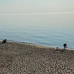 Апартамент изрев-бяла *